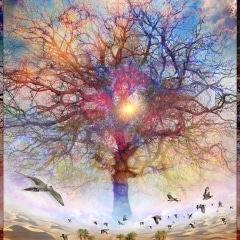 Dessert of Forgotten Tree
