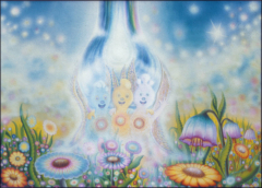 Flower Fairies Flower Fairies