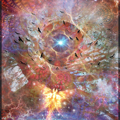 Lost in Transformations