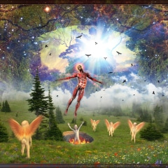 Resurrection of H. Bosch
