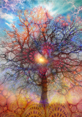 Tree-of-Life Tree-of-Life