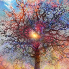 Tree-of-Life
