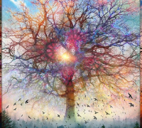 Memory of a Tree