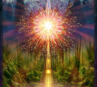 Symphonophobia-grounding-II